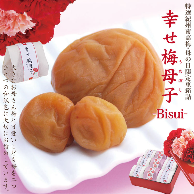 遅れてごめんね 送料無料 母の日 ギフト 紀州南高梅 梅干 梅干し