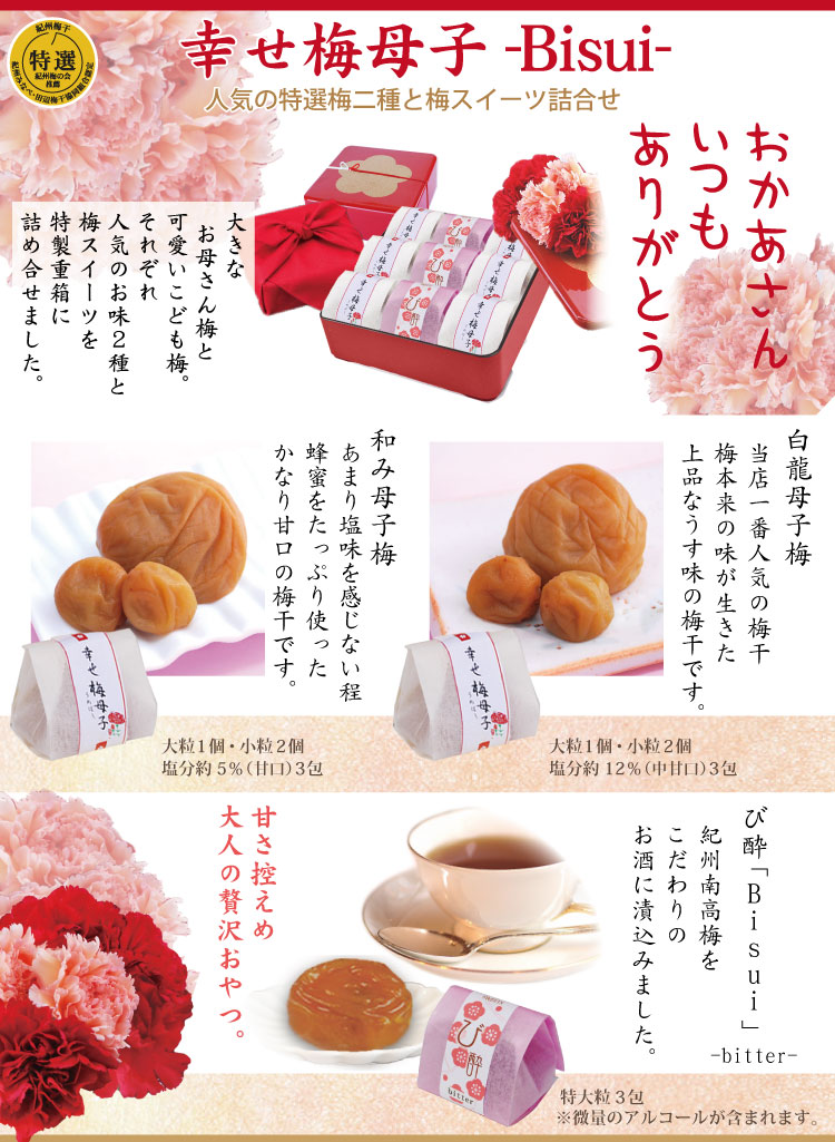 遅れてごめんね 送料無料 母の日 ギフト 紀州南高梅 梅干 梅干し