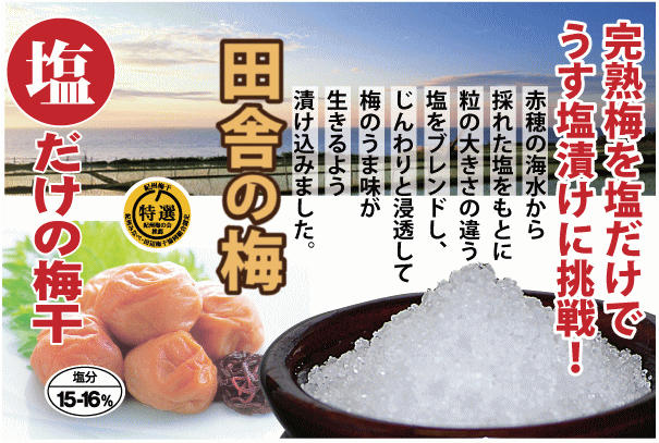 500ｇ　南高梅　白龍梅本舗　みなべ　紀州　簡易包装　塩分約16％　和歌山　梅干　特選　田舎の梅